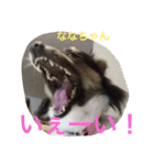 パピマル＊ななちゃん（個別スタンプ：5）