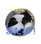 パピマル＊ななちゃん（個別スタンプ：9）