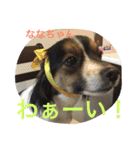 パピマル＊ななちゃん（個別スタンプ：10）