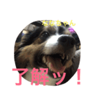 パピマル＊ななちゃん（個別スタンプ：11）