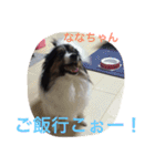 パピマル＊ななちゃん（個別スタンプ：12）