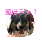 パピマル＊ななちゃん（個別スタンプ：14）