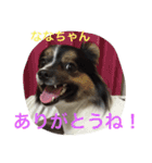 パピマル＊ななちゃん（個別スタンプ：15）