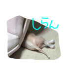 でんのスタンプ1（個別スタンプ：2）