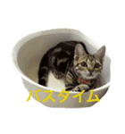 chako1.2（個別スタンプ：3）