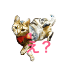 chako1.2（個別スタンプ：7）