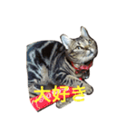 chako1.2（個別スタンプ：12）