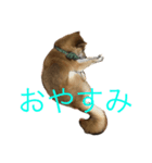 つぶの日常（個別スタンプ：5）