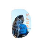 ドックアシスト千手（個別スタンプ：14）