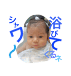 kondousan.family.（個別スタンプ：2）