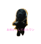 嵐の日常（個別スタンプ：5）