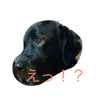 嵐の日常（個別スタンプ：8）