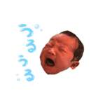 chisa stamps（個別スタンプ：4）