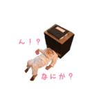 我が家の会話用スタンプ（個別スタンプ：8）
