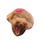 pubby（個別スタンプ：5）