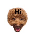 pubby（個別スタンプ：6）
