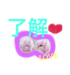 肉球♡LOVE  6  可愛い猫たん（個別スタンプ：2）