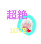 肉球♡LOVE  6  可愛い猫たん（個別スタンプ：4）