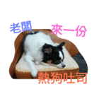 Nicky's life（個別スタンプ：11）