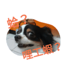 Nicky's life（個別スタンプ：21）