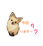 ちいちい・みいみい・るうるうPart2（個別スタンプ：2）