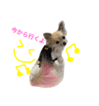 ちいちい・みいみい・るうるうPart2（個別スタンプ：4）