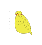 コトリちゃん（個別スタンプ：7）