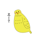 コトリちゃん（個別スタンプ：8）
