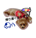 coco_reo（個別スタンプ：11）