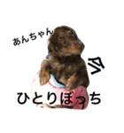 あんずちゃん〜家族会話編〜（個別スタンプ：6）