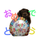 あんずちゃん〜家族会話編〜（個別スタンプ：12）