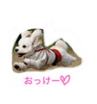 るなの毎日（個別スタンプ：1）
