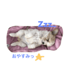 るなの毎日（個別スタンプ：2）