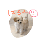 るなの毎日（個別スタンプ：3）