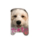 るなの毎日（個別スタンプ：7）