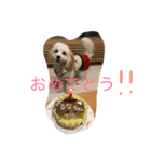 るなの毎日（個別スタンプ：8）