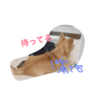 ちぃぷぅ夫婦の日常（個別スタンプ：2）