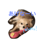 ちぃぷぅ夫婦の日常（個別スタンプ：3）