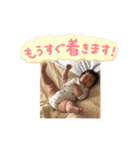 ゆはまる（個別スタンプ：5）