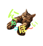 ネコのつーちゃん（個別スタンプ：21）