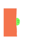 edamame1（個別スタンプ：29）