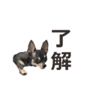 すーちゃんの日常（個別スタンプ：15）