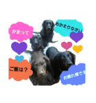 inumomi（個別スタンプ：6）