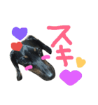 inumomi（個別スタンプ：32）