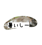 Su-！（個別スタンプ：3）
