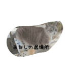 Su-！（個別スタンプ：7）