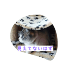 Su-！（個別スタンプ：8）