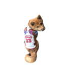 柴犬たらこ（個別スタンプ：5）