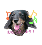 こころのきもち（個別スタンプ：2）