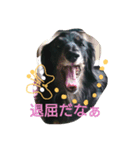 こころのきもち（個別スタンプ：3）